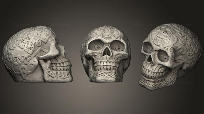 Анатомия скелеты и черепа (Кельтский череп, ANTM_0346) 3D модель для ЧПУ станка